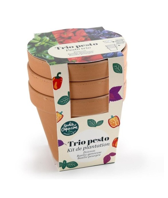 Trio de pots en terre cuite...