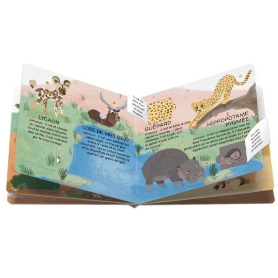 Coffret Protégeons les animaux - Déserts et savanes