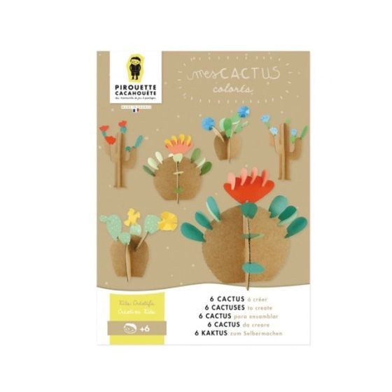 Mes cactus colorés