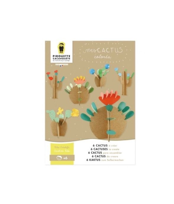 Mes cactus colorés
