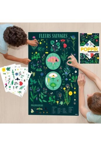 Poster découverte avec stickers Botanique