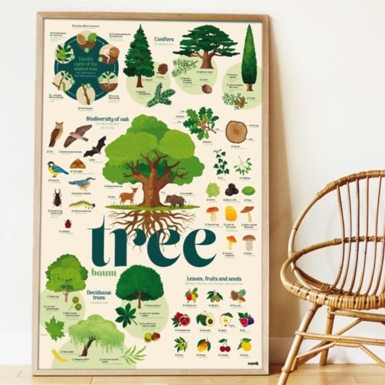 Poster découverte avec stickers Les arbres