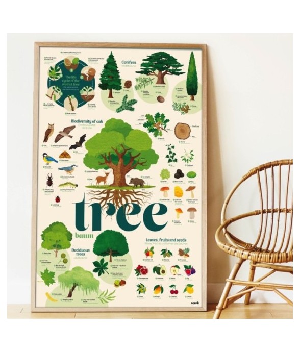 Poster découverte avec...