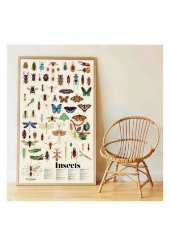 Poster découverte avec stickers insectes