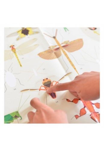 Poster découverte avec stickers insectes