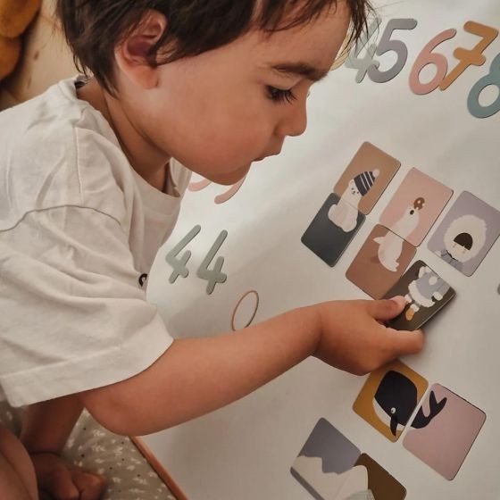 Magnets Puzzle – Pôle Nord