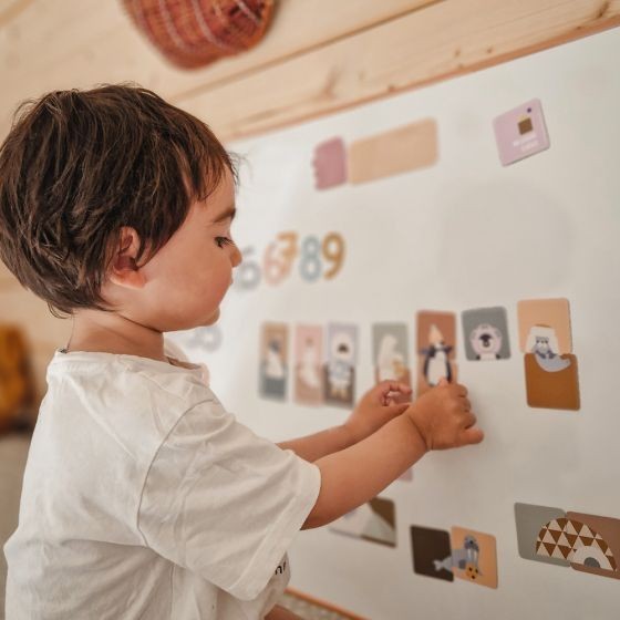 Magnets Puzzle – Pôle Nord