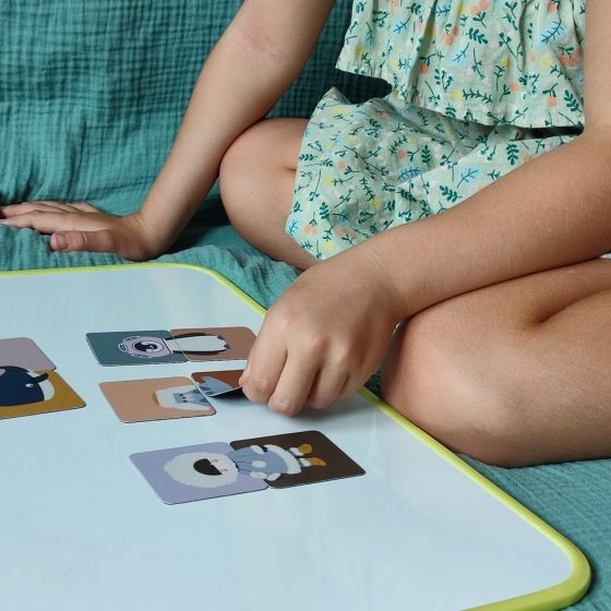 Magnets Puzzle – Pôle Nord