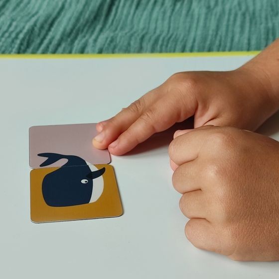 Magnets Puzzle – Pôle Nord