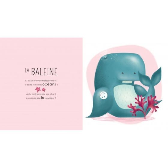 Livre les petits habitants de la mer