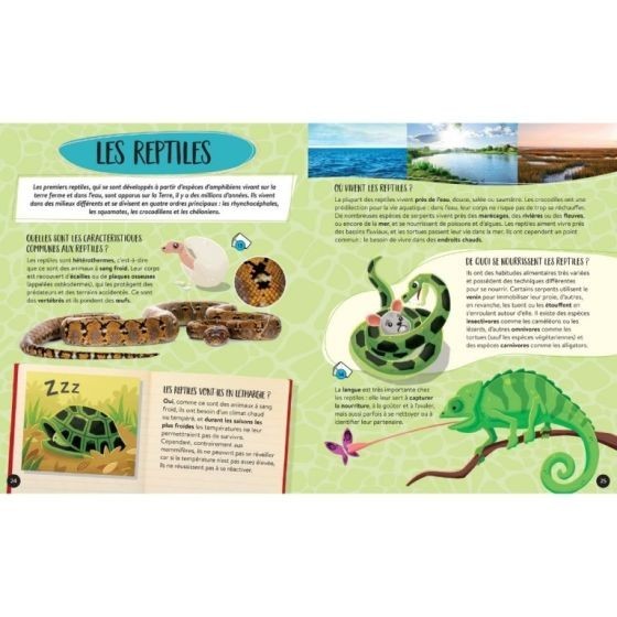 Encyclopédie animaux