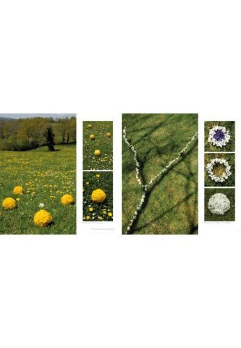 Land art de printemps
