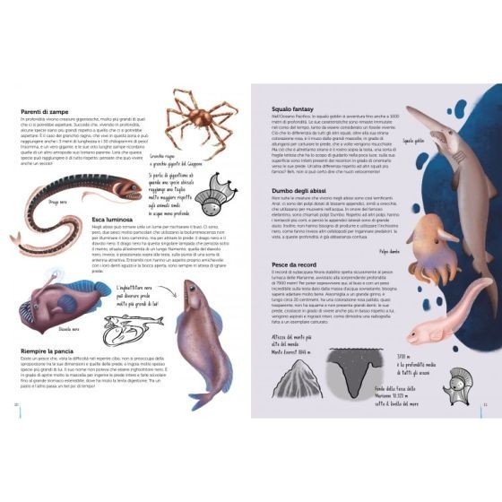 Atlas Mers  et  Océans