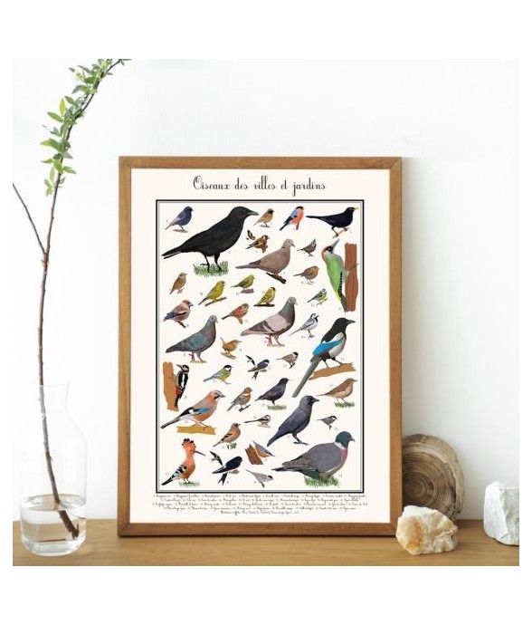 Poster les Oiseaux des...