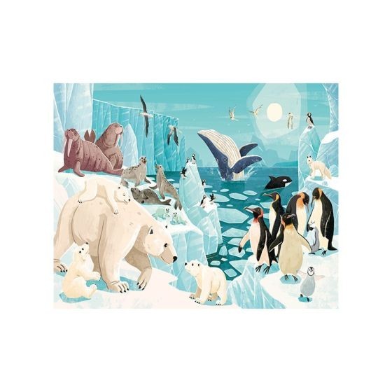 Coffret glaces : Livre & Puzzle