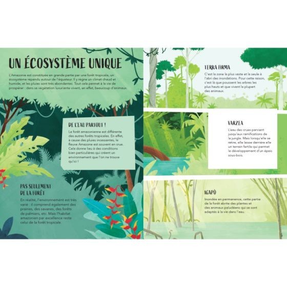 Coffret Amazonie : Livre & Puzzle