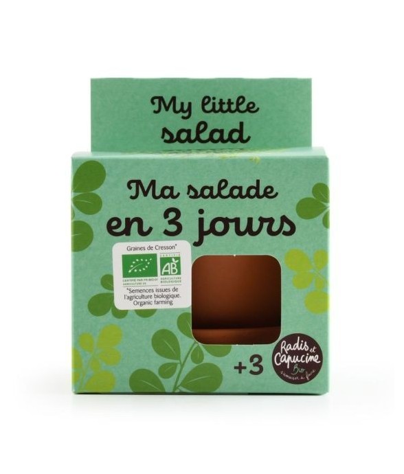 Kit plantation - Salade de...