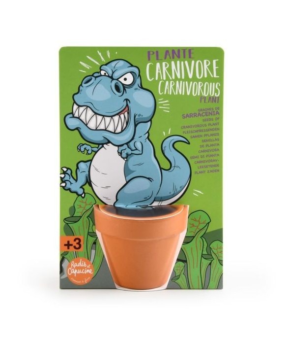 T-rex dinosaure et plantes...