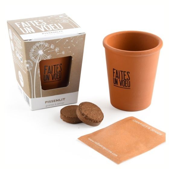 Kit message "Faites un voeu" - Pissenlit Bio