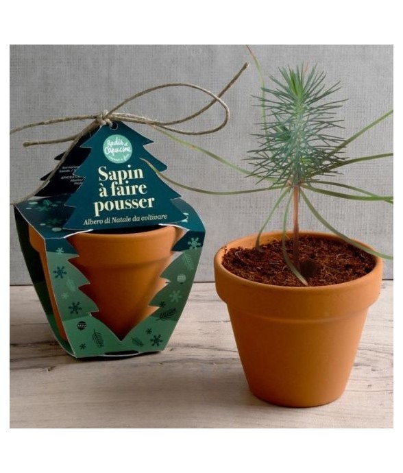 Pot en terre cuite - Noël -...