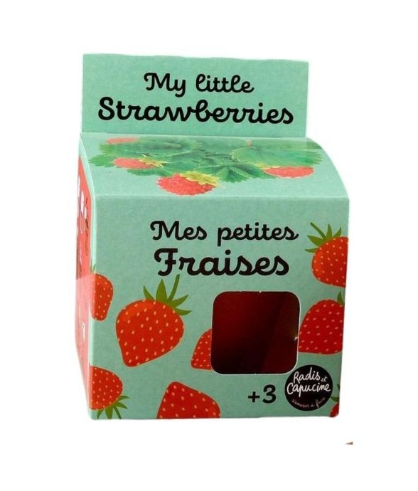Kit plantation - Fraisier -...