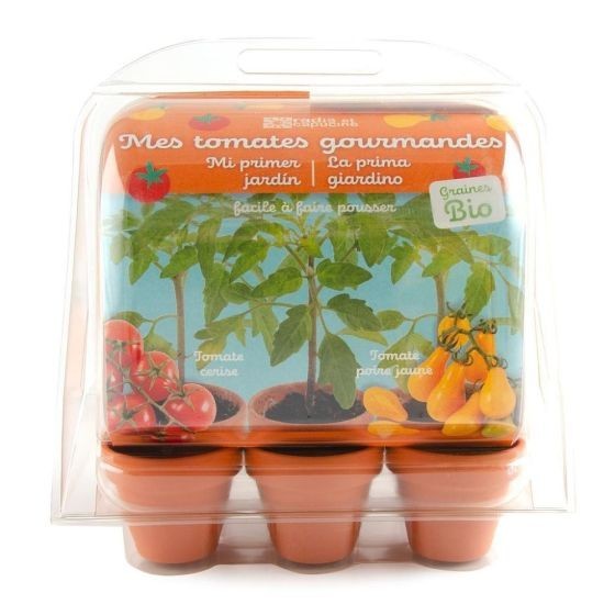 Serre Jardinage enfant - tomates à faire pousser Bio