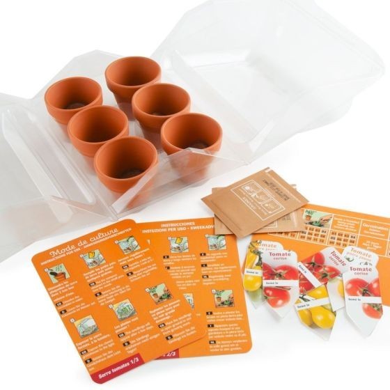 Serre Jardinage enfant - tomates à faire pousser Bio