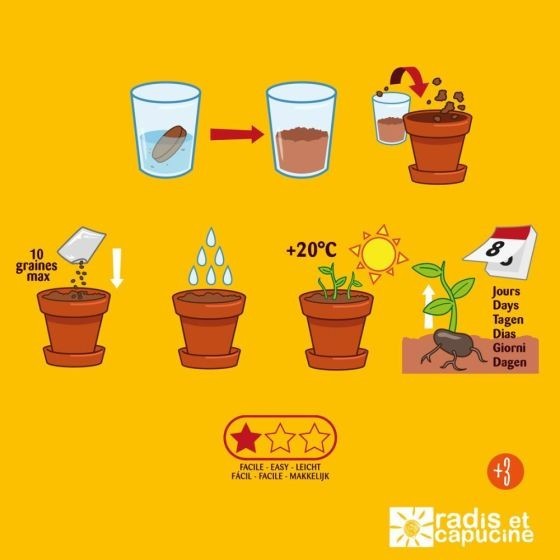 Kit plantation - Tomates Cerise bio - 8cm