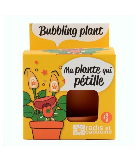 Pot avec coupelle - Plante...