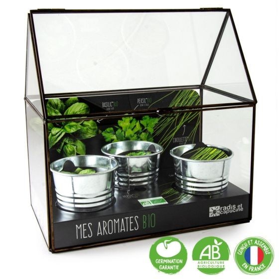 Serre châssis noir - 3 pots zinc - Aromates Bio