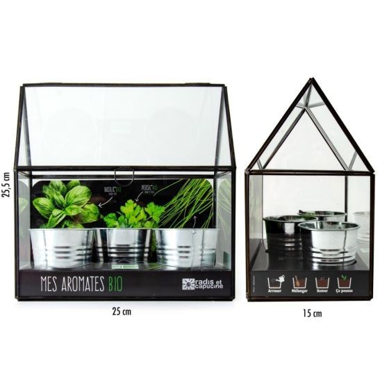 Serre châssis noir - 3 pots zinc - Aromates Bio