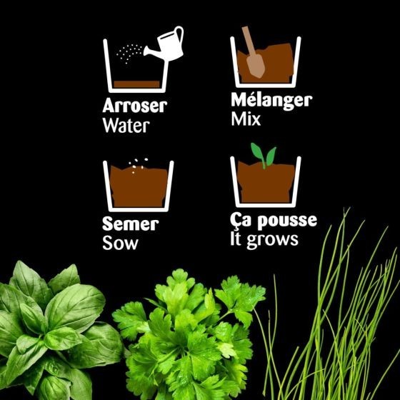 Serre châssis noir - 3 pots zinc - Aromates Bio