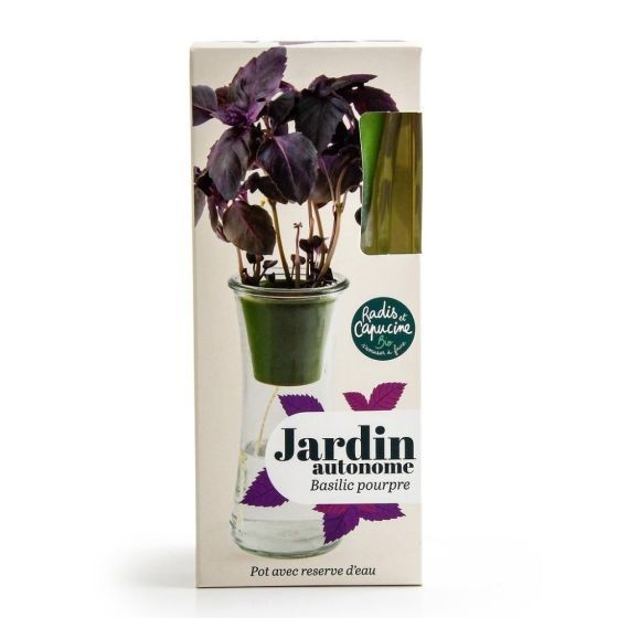 Jardin autonome Basilic Pourpre Bio
