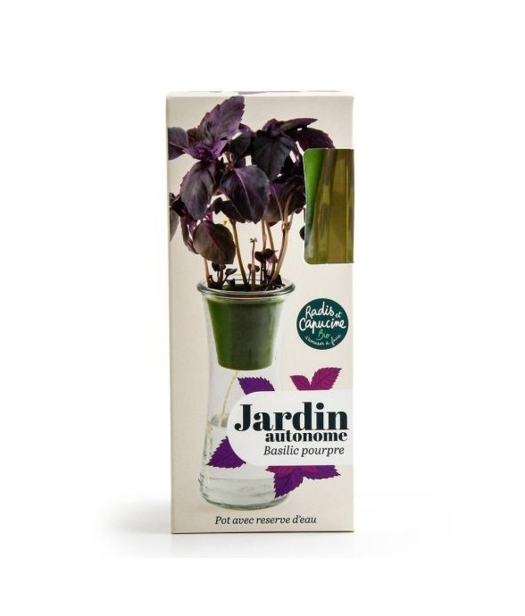 Jardin autonome Basilic...