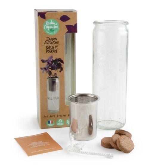 Jardin autonome Basilic Pourpre Bio