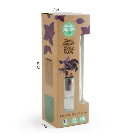 Jardin autonome Basilic Pourpre Bio