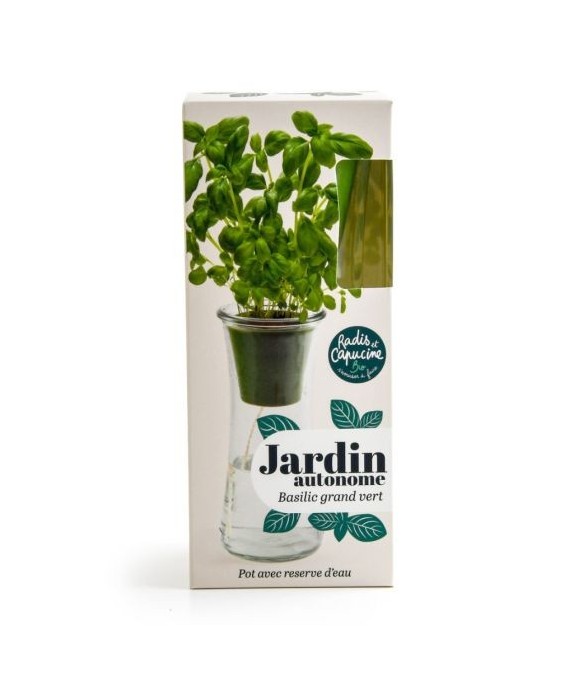 Jardin autonome - Basilic...