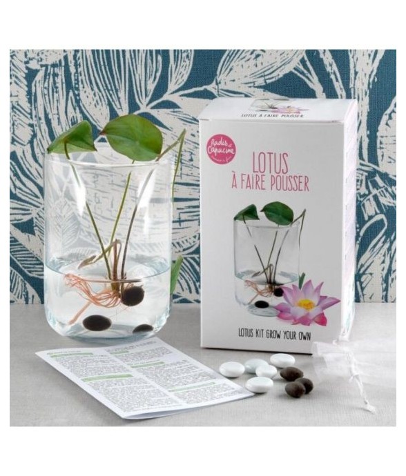Garden set - Lotus zen