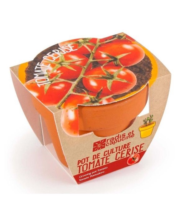 Graines de Tomate Cerise à...