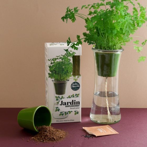Jardin autonome - Persil Bio