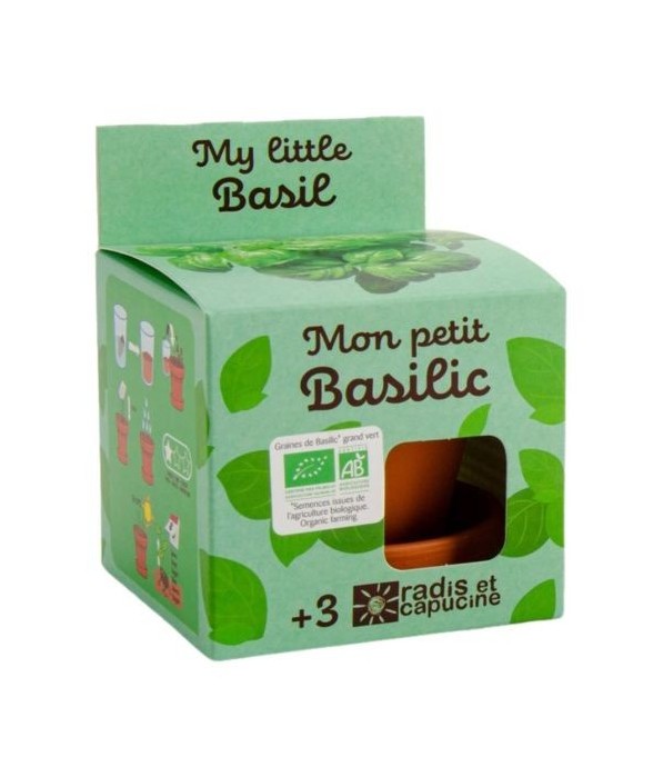 Mon petit basilic à semer...