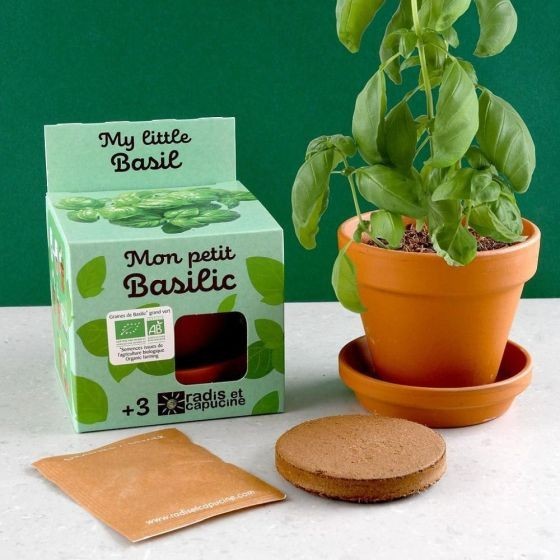 Mon petit basilic à semer Kit jardinage enfant 8 cm Bio