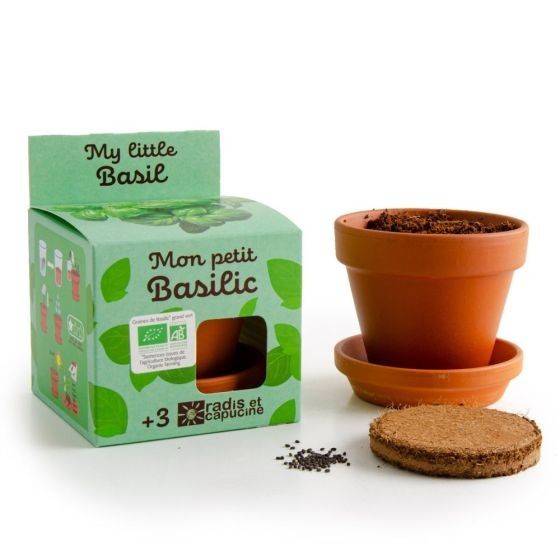 Mon petit basilic à semer Kit jardinage enfant 8 cm Bio