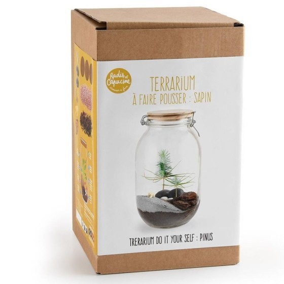 Terrarium à faire soi même - Sapin de Noël et Ours blanc