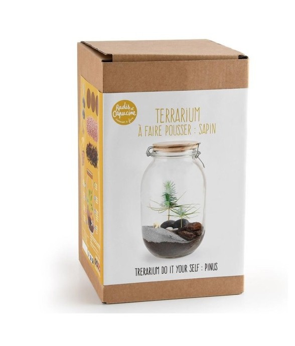 Terrarium à faire soi même...