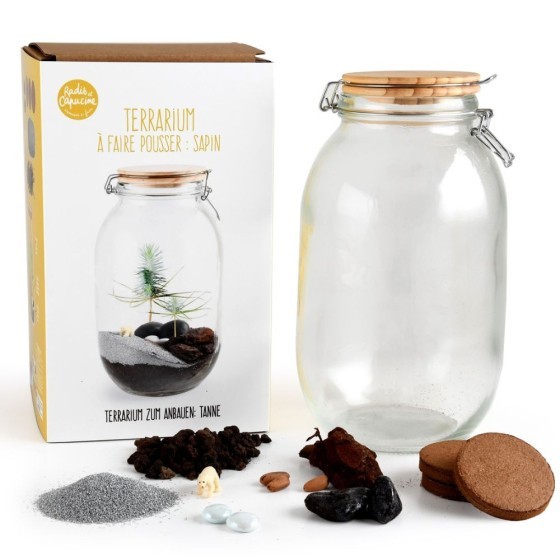 Terrarium à faire soi même - Sapin de Noël et Ours blanc