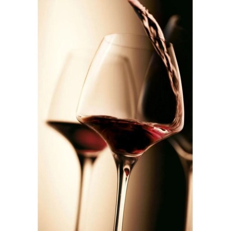 Verre à pied Pro tasting Open up 32 cl (lot de 6) en kwarx