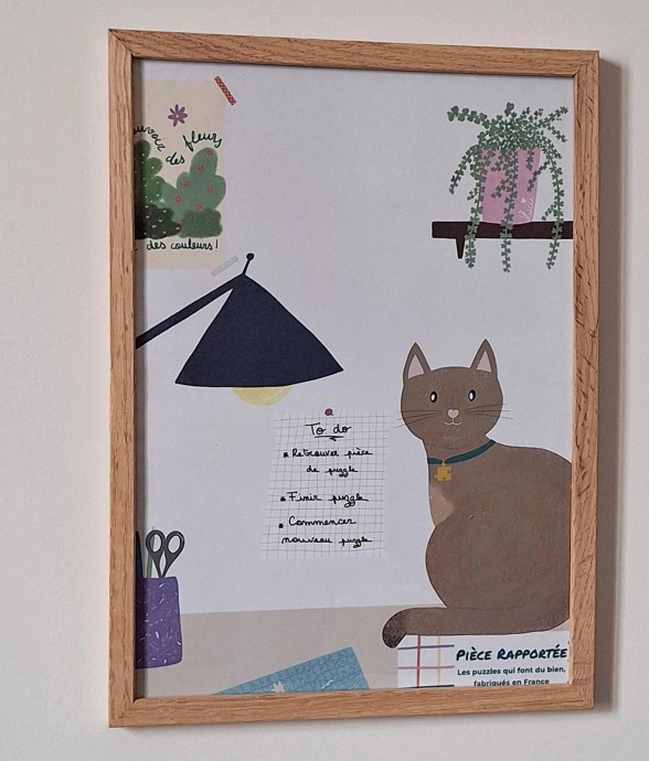Affiche Un chat, une pièce,...