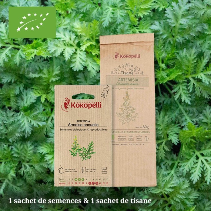 1 sachet de graines et 1 sachet de tisane d'Artemisia Annua bio