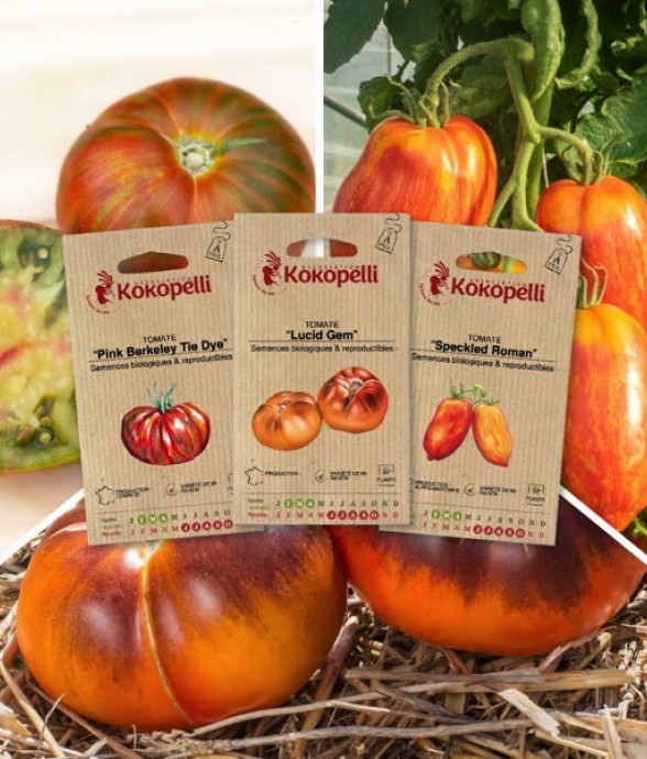 Tomates zébrées - 3 sachets...